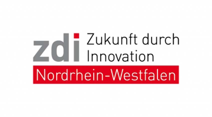 ZDI Logo